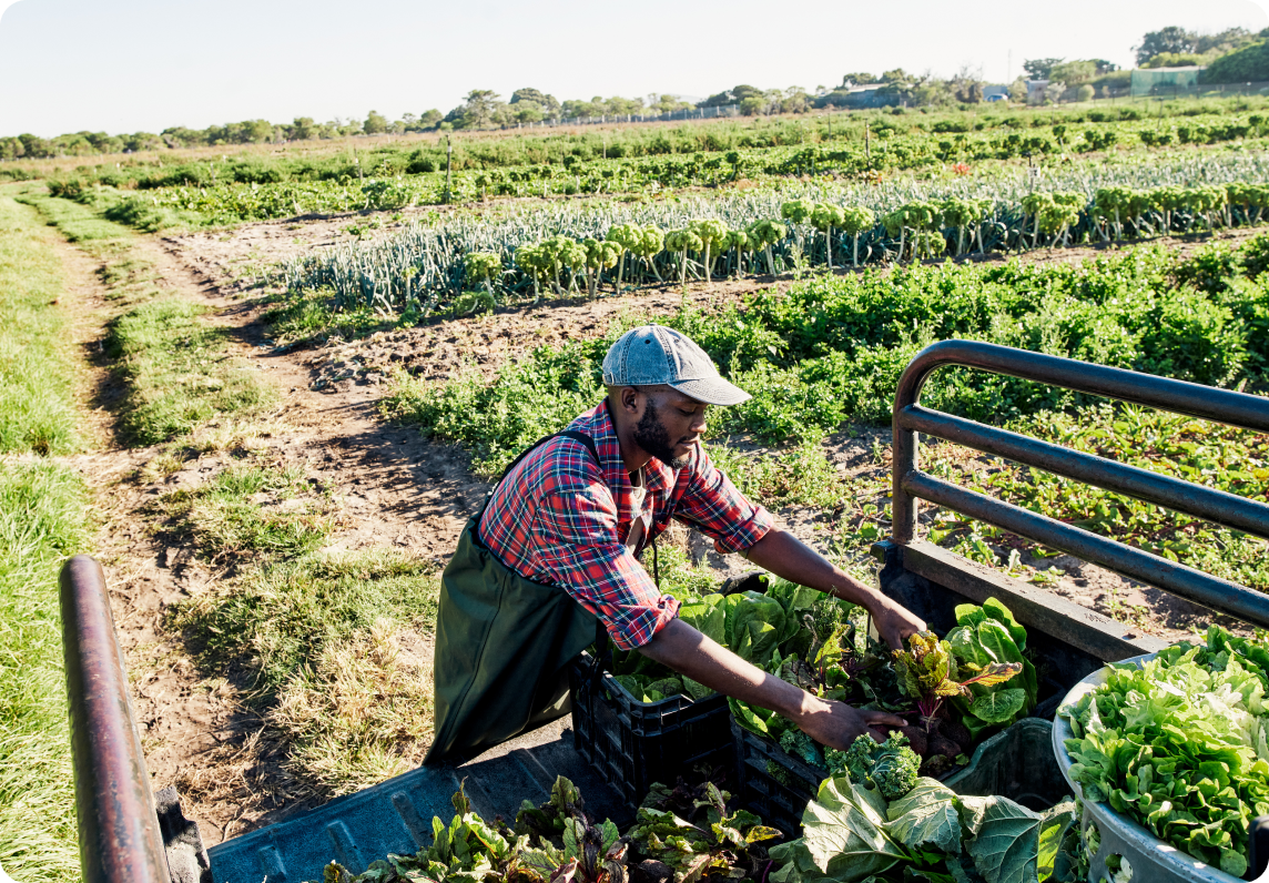 Automatically sync your sales to your harvests and tasks.