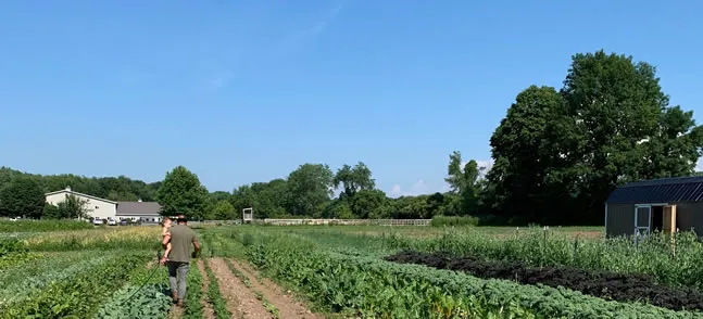 Finca Deep Root: Cortando a Través del Caos con Tend