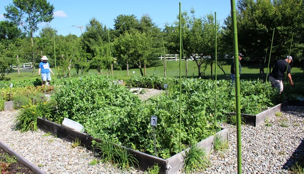 blog Farm of the Month Fulfills Community Garden