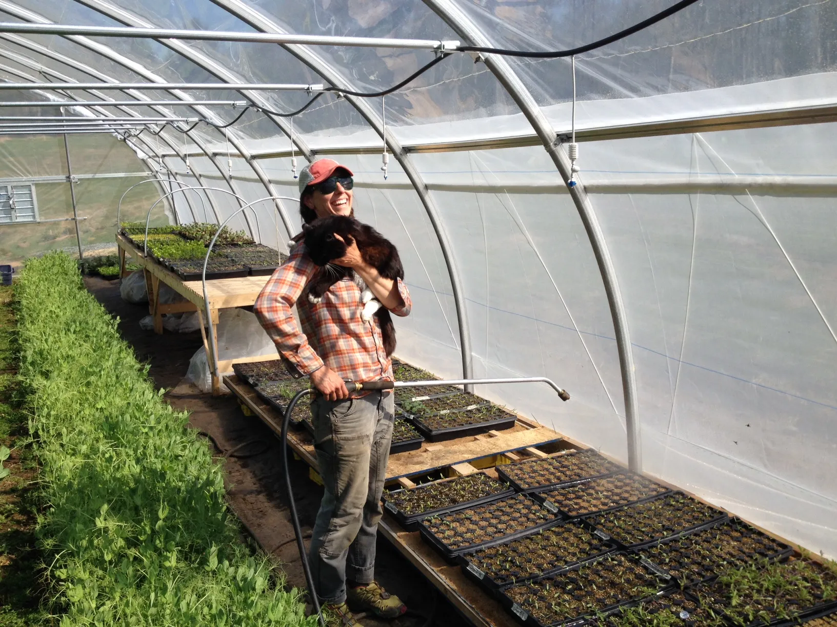 Farm of the Month Paradise Valley Produce Tend