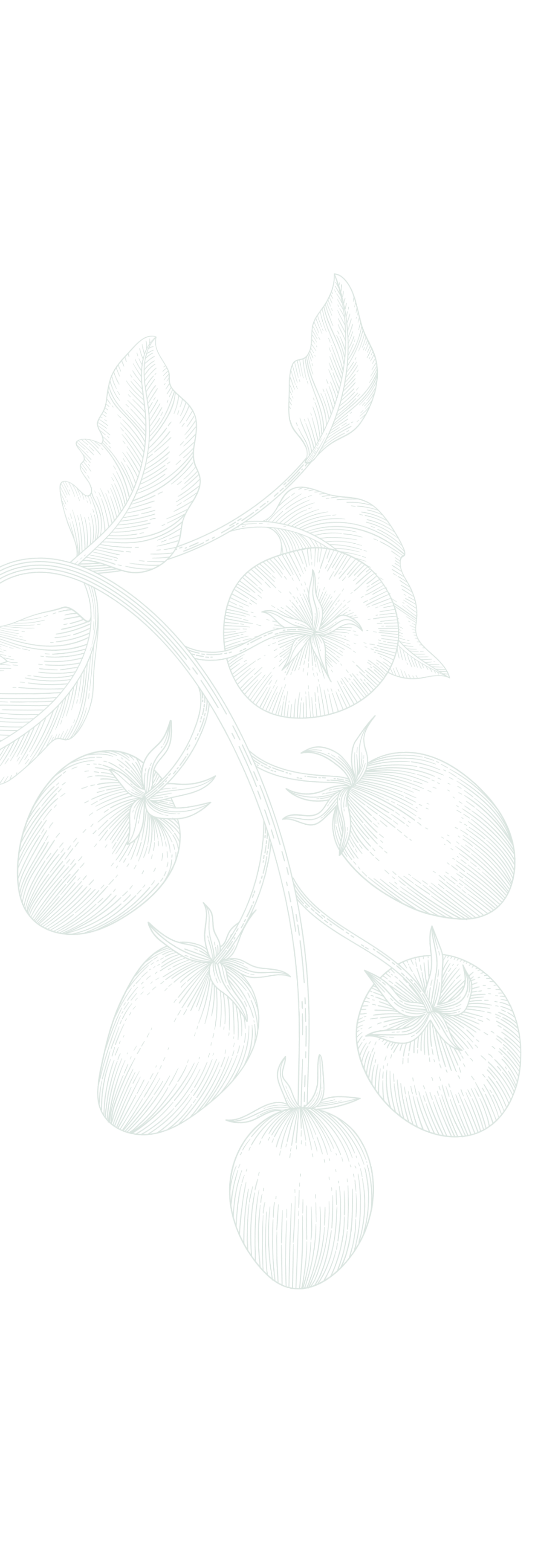 Background 1
