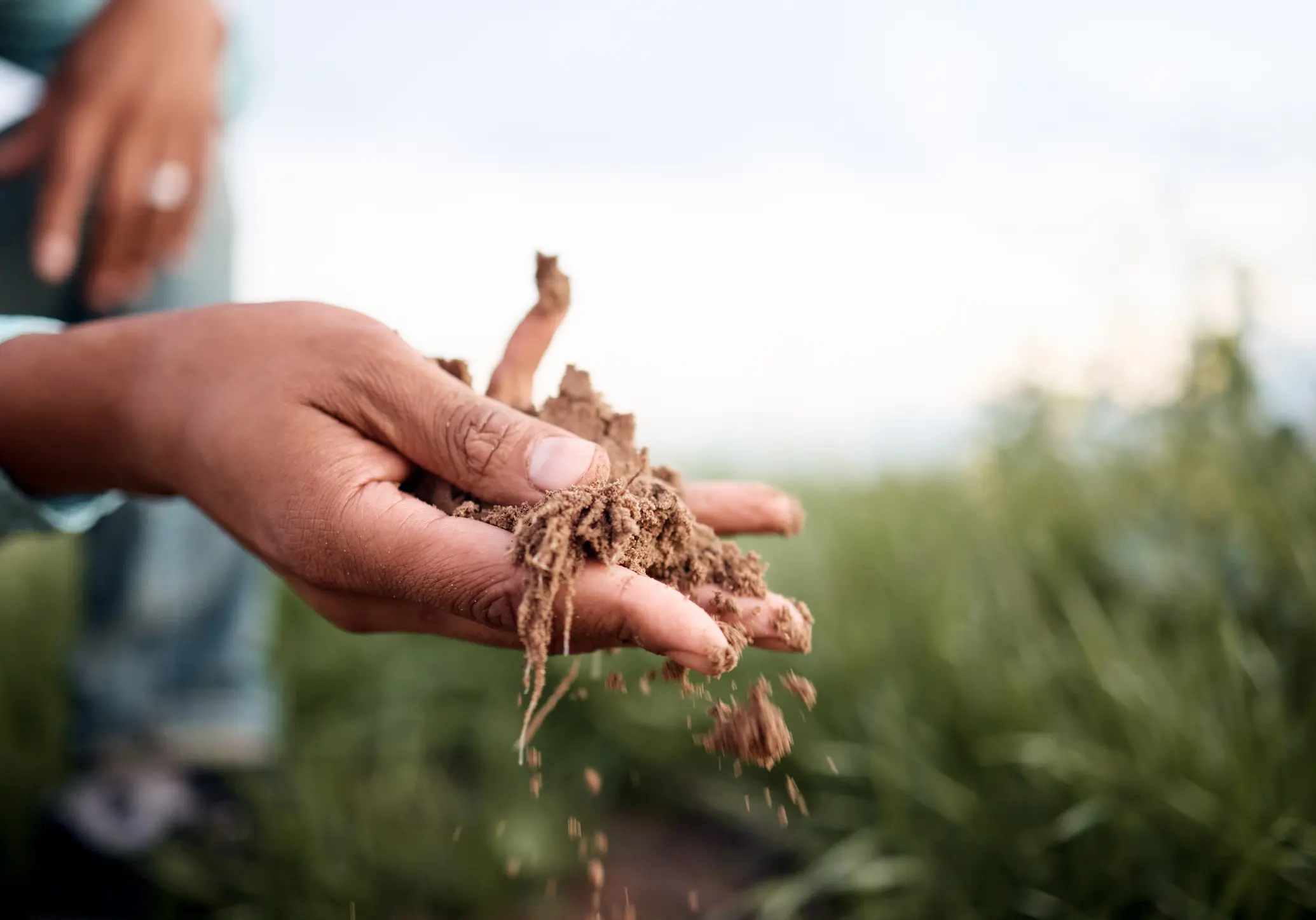 farmer hand healthy soil