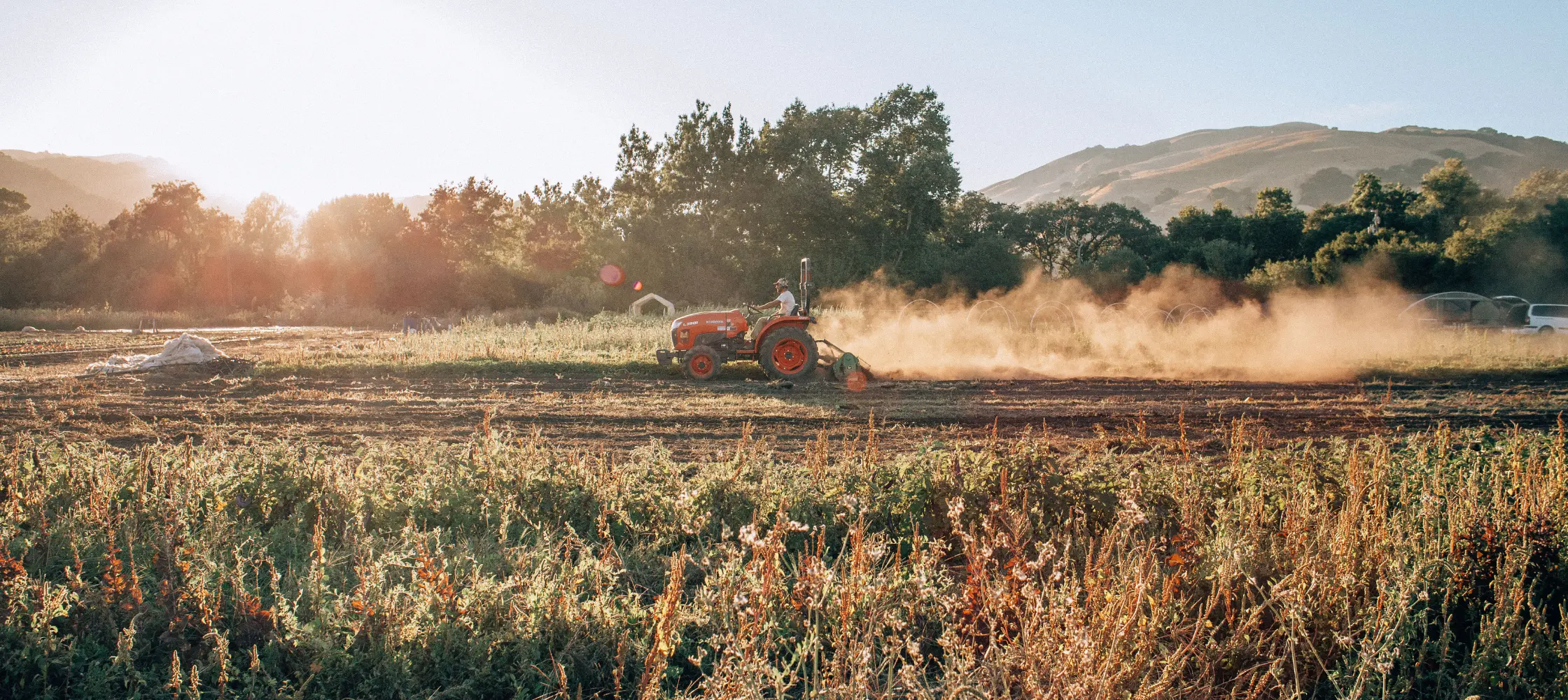 farmer tilling beds