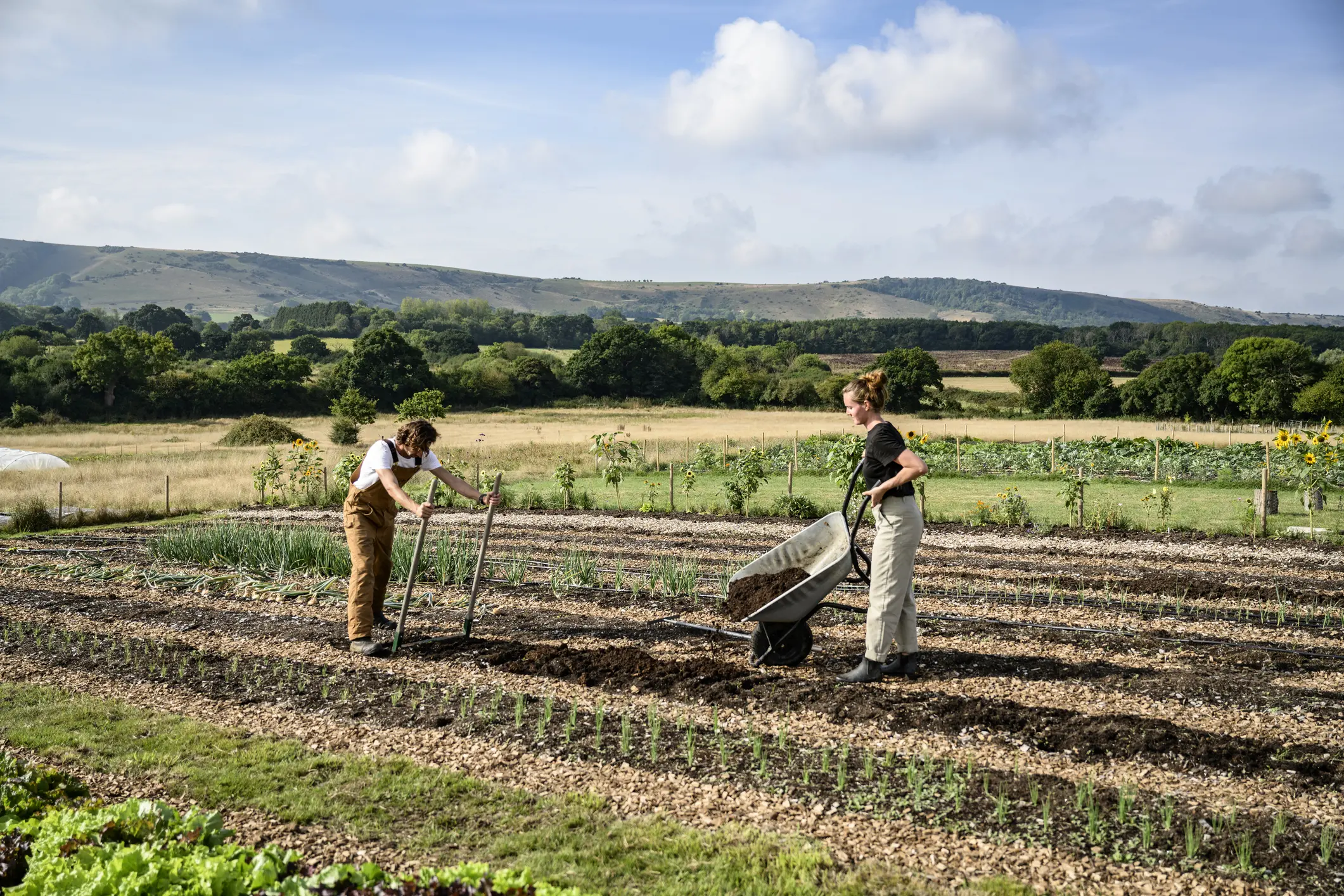 farmers hand tilling field broadfork