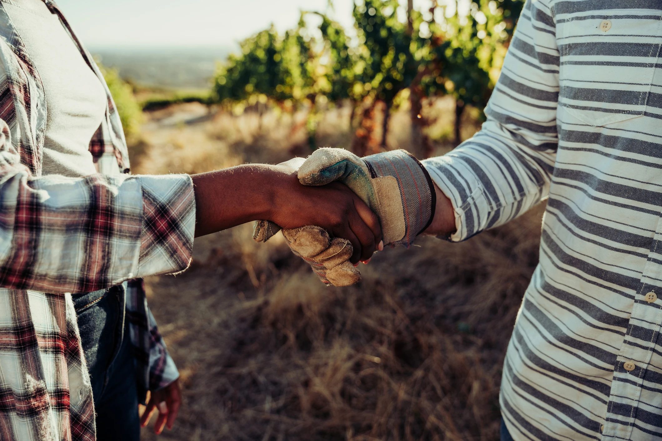 farmers_handshake_agriculture_cooperative