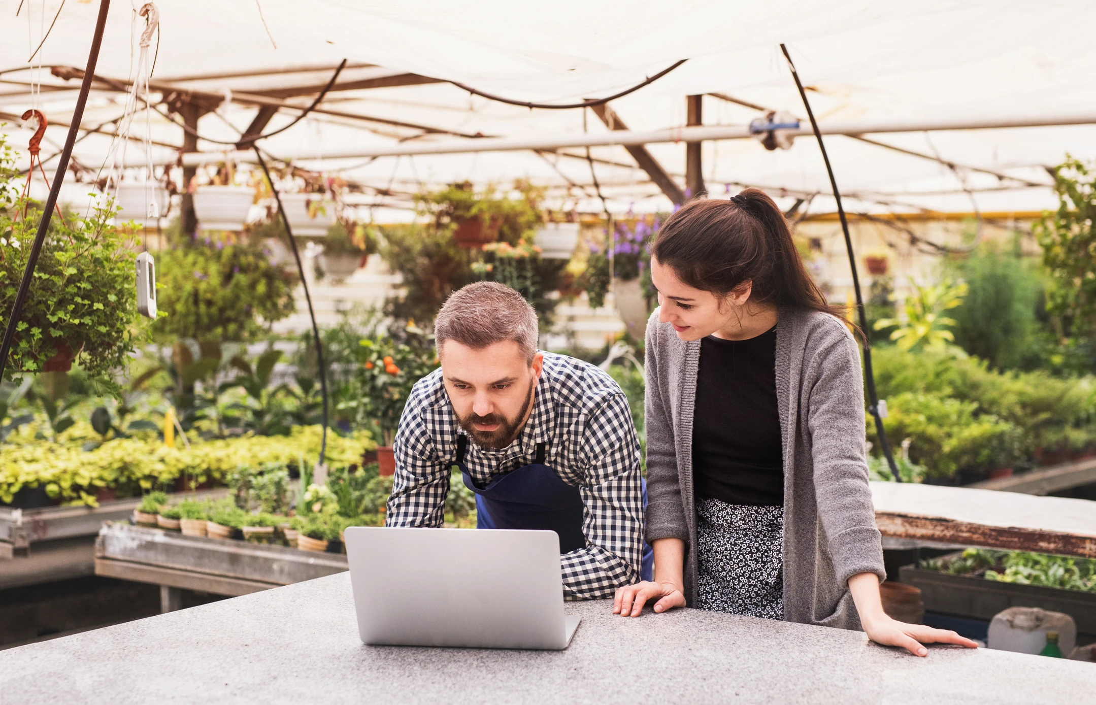 growers checking website analytics