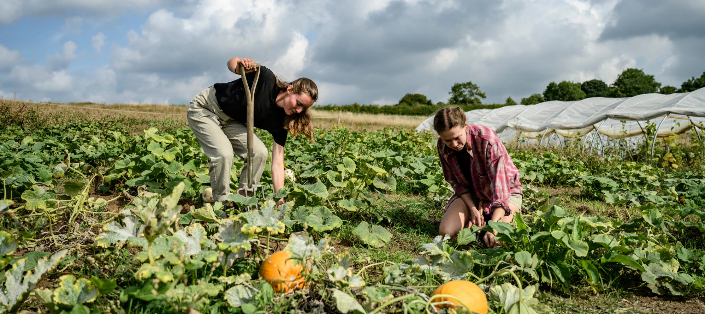 young farmers working agriculture cooperative